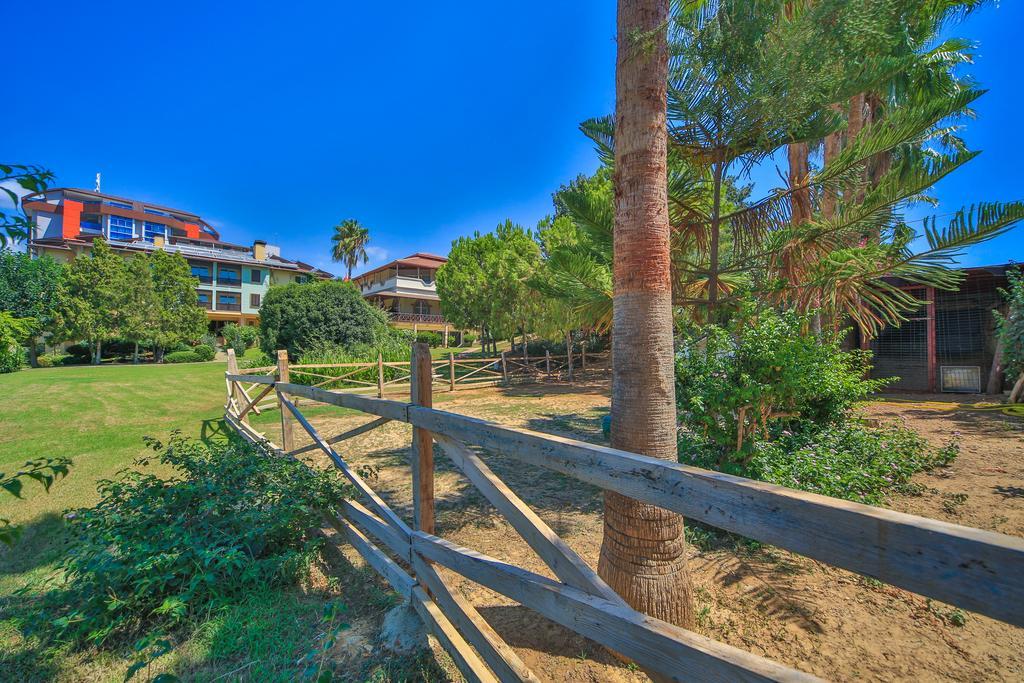 Lonicera World Avsallar Exterior foto
